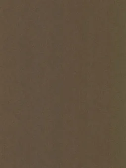 Belbien BR-540 Bronze Sand Metal architectural film swatch