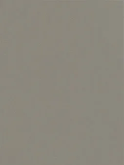 Belbien BR-604 Stainless Vibration Metal architectural film swatch