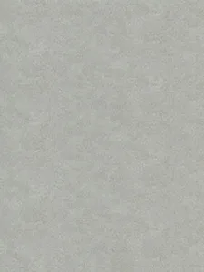Belbien CM-123 Grunge Etain Metal architectural film swatch