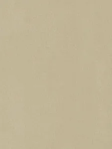 Belbien CM-125 Officier Metal architectural film swatch