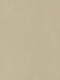 Belbien CM-125 Officier Metal architectural film swatch