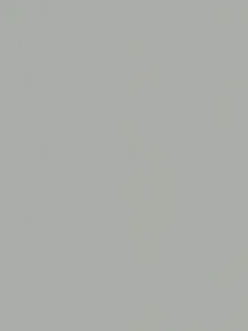 Belbien CO-181 Meteor Grano Basic Color architectural film swatch