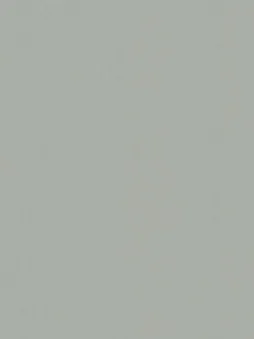 Belbien CO-181 Meteor Grano Basic Color architectural film swatch
