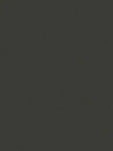 Belbien CO-196 Noir Sablon Basic Color architectural film swatch