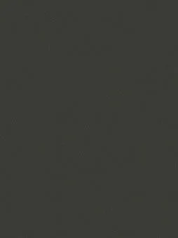 Belbien CO-196 Noir Sablon Basic Color architectural film swatch