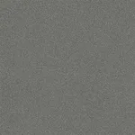 Belbien CO-197 Charcoal Sablon Basic Color architectural film swatch
