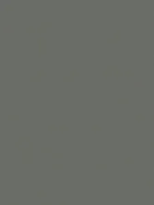Belbien CO-197 Charcoal Sablon Basic Color architectural film swatch