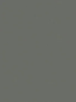 Belbien CO-197 Charcoal Sablon Basic Color architectural film swatch