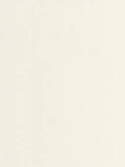 Belbien CY-110 Luminance Beige Metal architectural film swatch