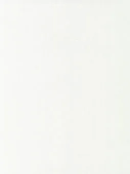 Belbien DA-40 White Dripping Abstract architectural film swatch