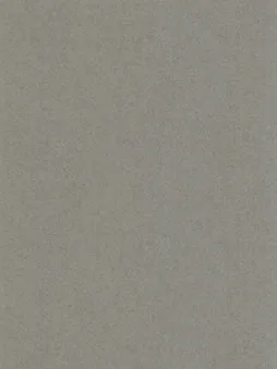 Belbien DA-54 Rusty Gray Abstract architectural film swatch