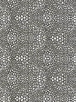 Belbien DA-66 IZANAMI Abstract architectural film swatch
