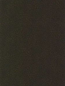 Belbien DA-69 TSUKIYOMI Abstract architectural film swatch