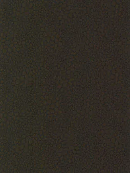 Belbien DA-69 TSUKIYOMI Abstract architectural film swatch