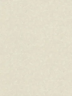 Belbien DA-79 Frosty Gilver Abstract architectural film swatch