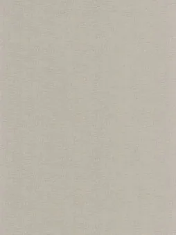 Belbien DA-81 Graysh Lattice Abstract architectural film swatch