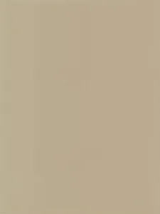 Belbien EM-4217 Bronze Chiaro Metal architectural film swatch