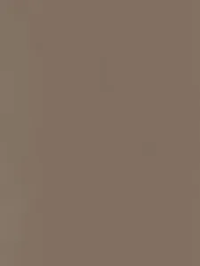 Belbien EM-4218 Antique Vibration Metal architectural film swatch
