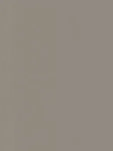Belbien EM-4219 Noir Vibration Metal architectural film swatch