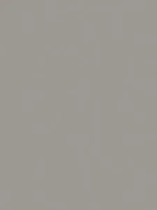 Belbien EM-4221 Silver Metallic Metal architectural film swatch