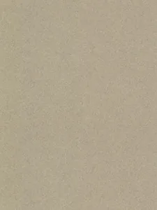 Belbien ES-5223 Marlite Vellum Sand architectural film swatch
