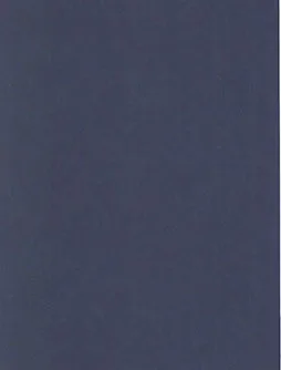 Belbien ES-5226 Covelline Vellum Abstract architectural film swatch