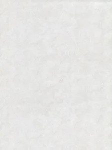 Belbien ES-5229 Bianco Palazzo Stone architectural film swatch