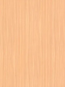 Belbien EW-1202 Fair Wood (S) Wood architectural film swatch