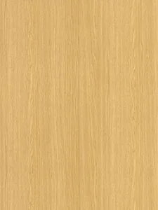 Belbien EW-1207 Viera Oak (SC) Wood architectural film swatch