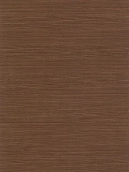 Belbien EW-1214 Évreux Walnut (S) Wood architectural film swatch