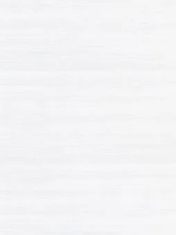 Belbien EW-1215 Snow Larch (S) Wood architectural film swatch
