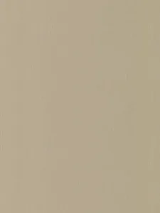 Belbien F-469 Venus Satin Fabric architectural film swatch