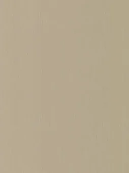 Belbien F-469 Venus Satin Fabric architectural film swatch