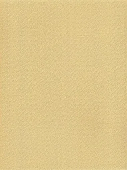 Belbien FM-23 Clémantine Gold Metal architectural film swatch
