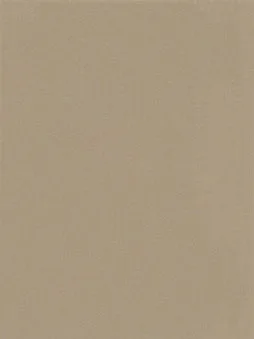 Belbien FM-33 Shower Brass Metal architectural film swatch
