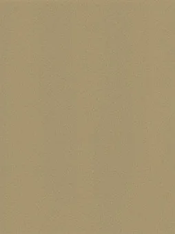Belbien FM-41 Gold Spin Metal architectural film swatch