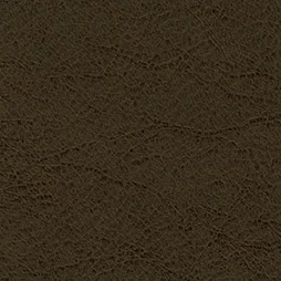 Belbien K-222 Bistre Calf Leather architectural film swatch