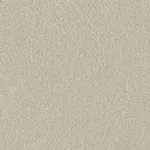 Belbien K-275 Light Gray Goat Leather architectural film swatch