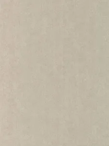 Belbien K-275 Light Gray Goat Leather architectural film swatch