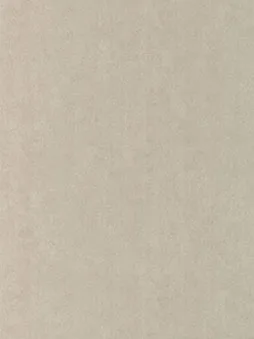 Belbien K-275 Light Gray Goat Leather architectural film swatch