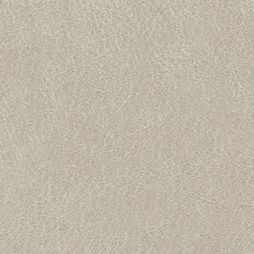 Belbien K-275 Light Gray Goat Leather architectural film swatch