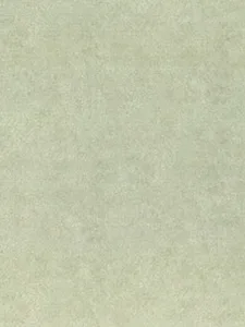 Belbien K-276 Light Olive Goat Leather architectural film swatch