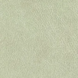 Belbien K-276 Light Olive Goat Leather architectural film swatch