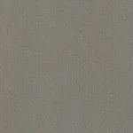 Belbien MR-1020 Stainless Metal architectural film swatch
