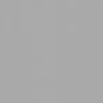 Belbien MR-1110 Light Silver Metal architectural film swatch