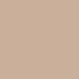 Belbien MT-19 Powder Cork Basic Color architectural film swatch