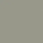 Belbien NC-055 Sensive Gray Basic Color architectural film swatch