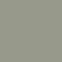 Belbien NC-055 Sensive Gray Basic Color architectural film swatch
