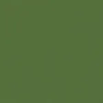 Belbien PR-287 Tirol Green Basic Color architectural film swatch