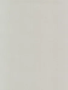 Belbien S-560 Light Gray Sand Sand architectural film swatch